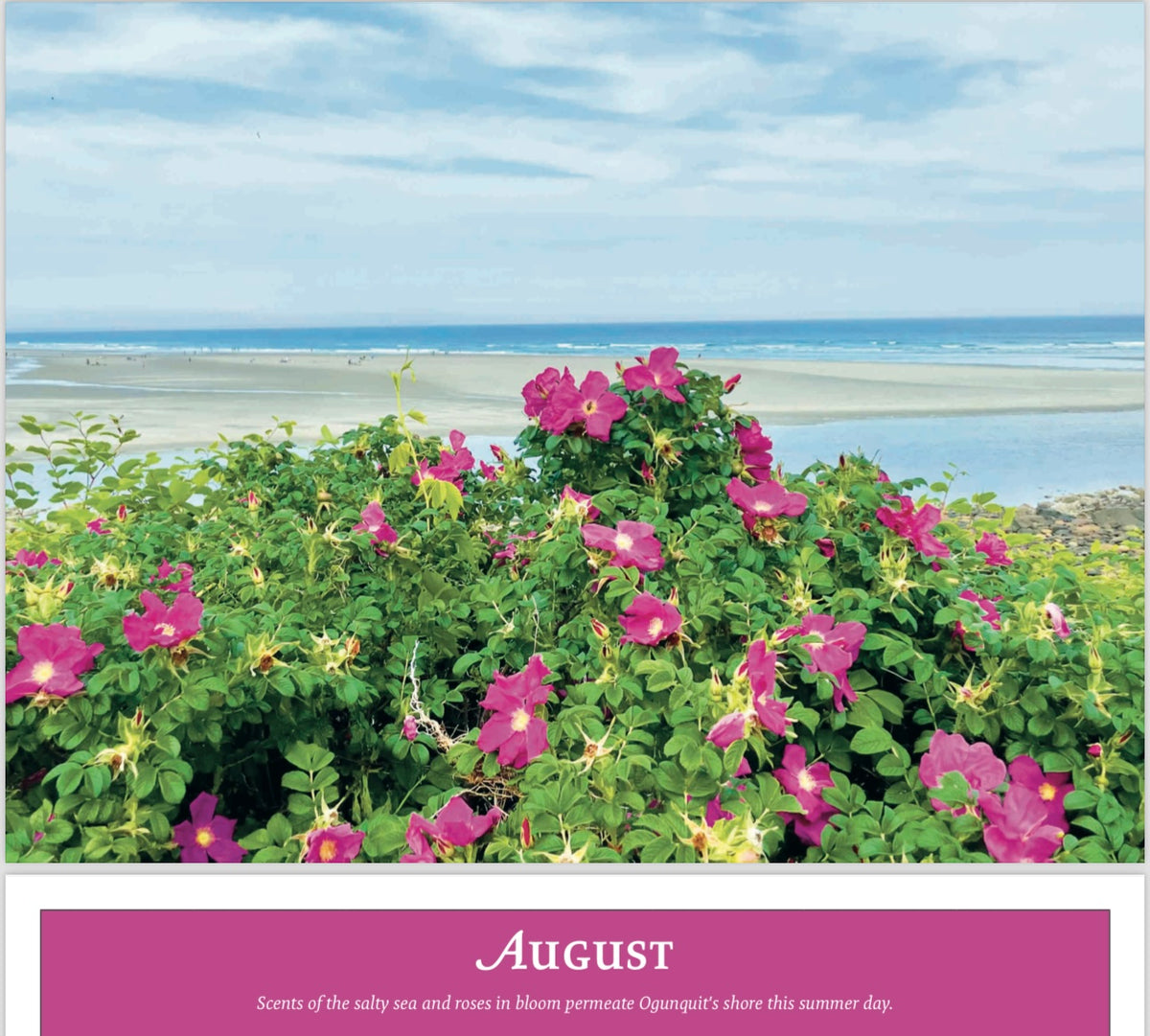 2025 Ogunquit Calendar by David Sullivan