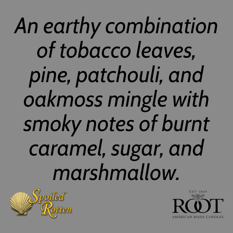 rotten tobacco 3D realistic half unhealthy human organ lung and a line of cigarettes 79315384 PNG Rotten Apricot Smokes Stock Photo