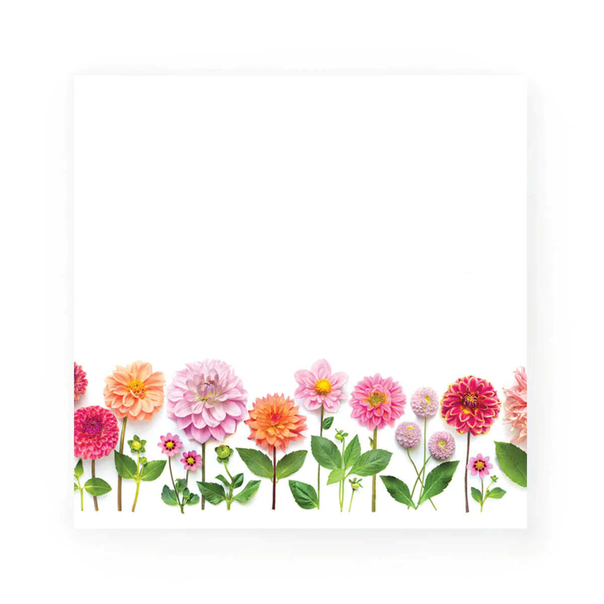 Dahlia Garden Sticky Notes