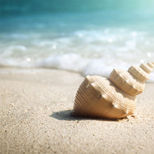 Load image into Gallery viewer, Salt Mist &amp; Sand 3-Wick Honeycomb