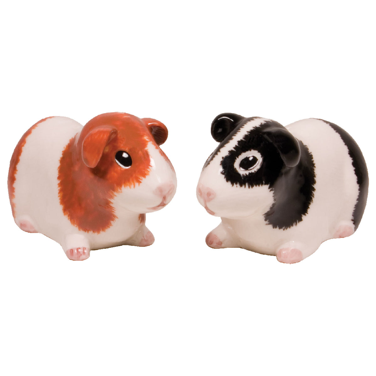 Guinea Pigs Salt and Pepper Shakers