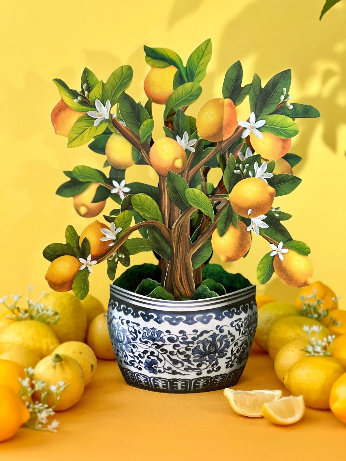 Lemon Blossom Tree Pop-Up Houseplant Card