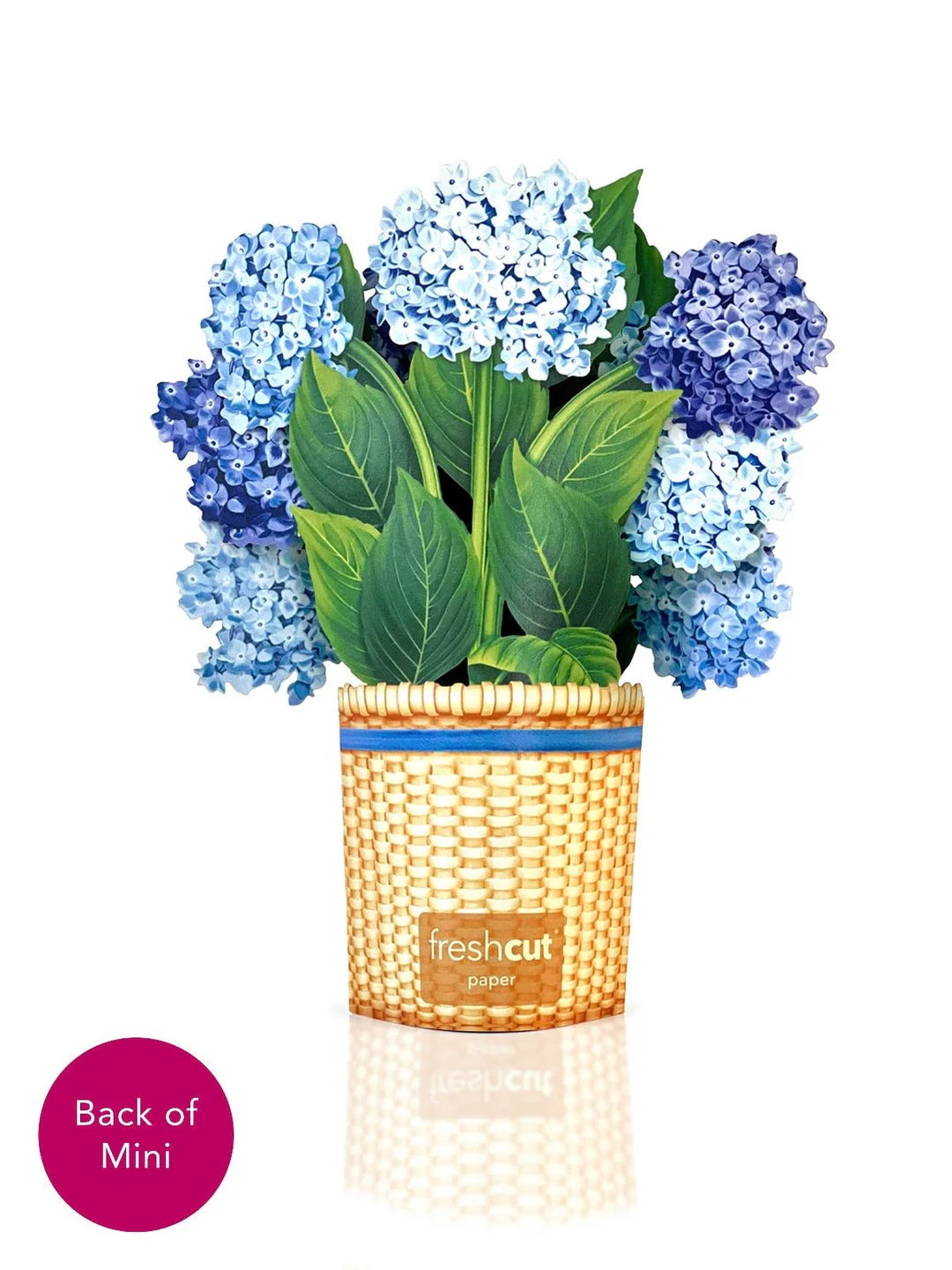 Mini Nantucket Hydrangeas Pop-Up Card