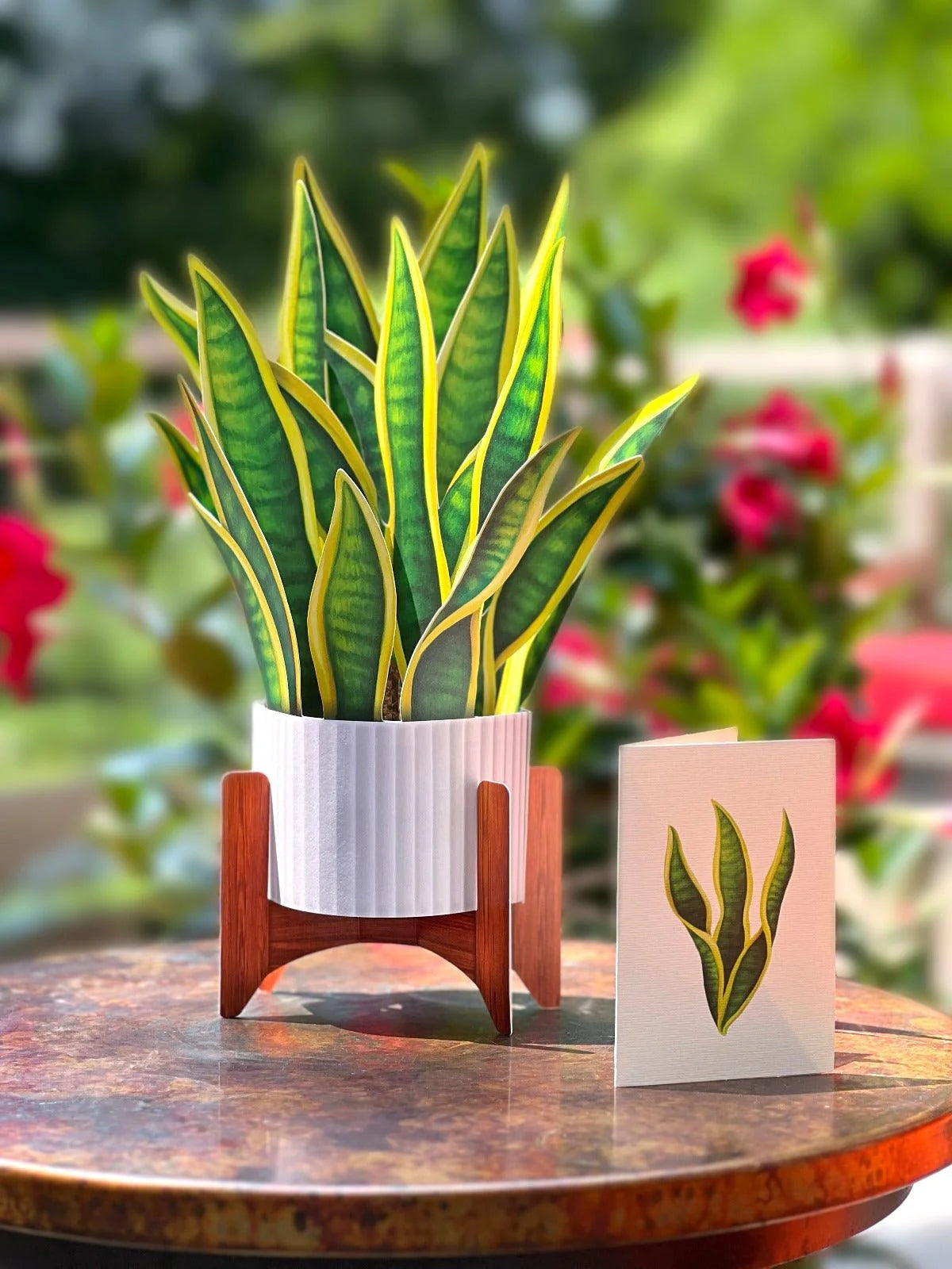 Snake Plant Pop-Up Houseplant Card