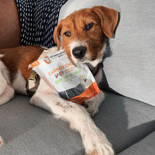 Load image into Gallery viewer, Carrate Chomp Dental Stick Dog Treats