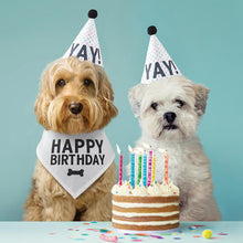 Load image into Gallery viewer, Pet Birthday Book Box