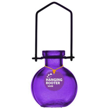 Load image into Gallery viewer, Hanging Small Ball Rooter Vase