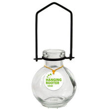 Load image into Gallery viewer, Hanging Small Ball Rooter Vase