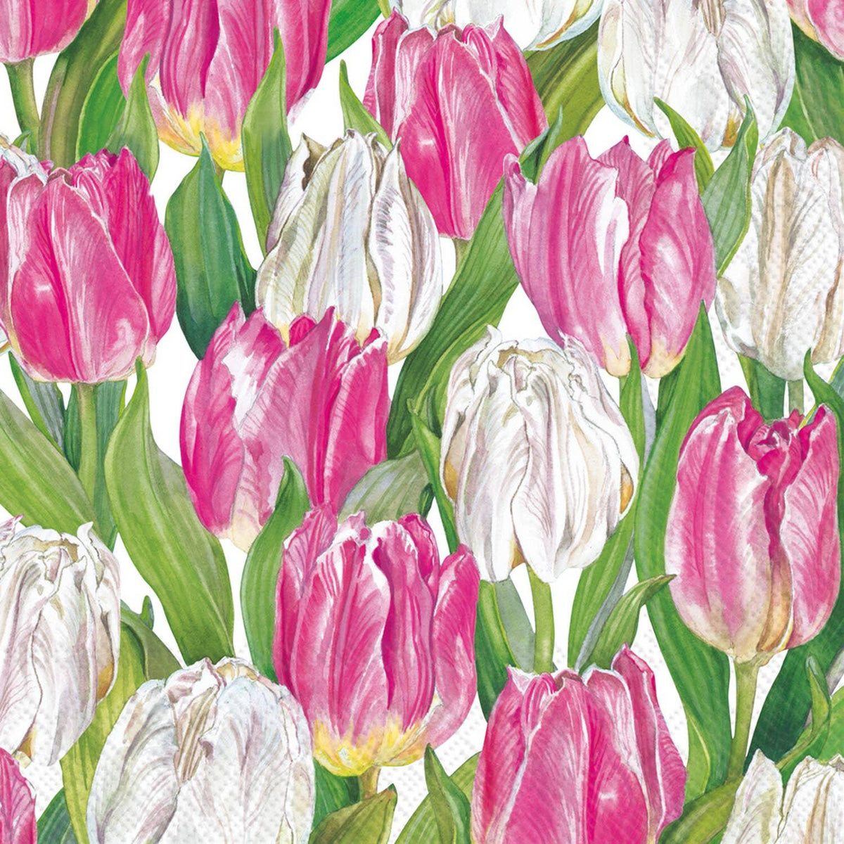 Modern Tulips Cocktail Napkins