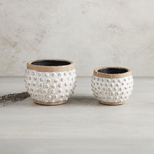 Load image into Gallery viewer, Polka Dot Planter - Large