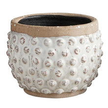 Load image into Gallery viewer, Polka Dot Planter - Large