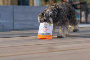Clucken Carrots Soft Baked Dog Treats