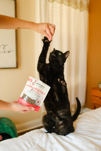More Lobster, Cheese Lobster & Cheese Crunchy Cat Treats