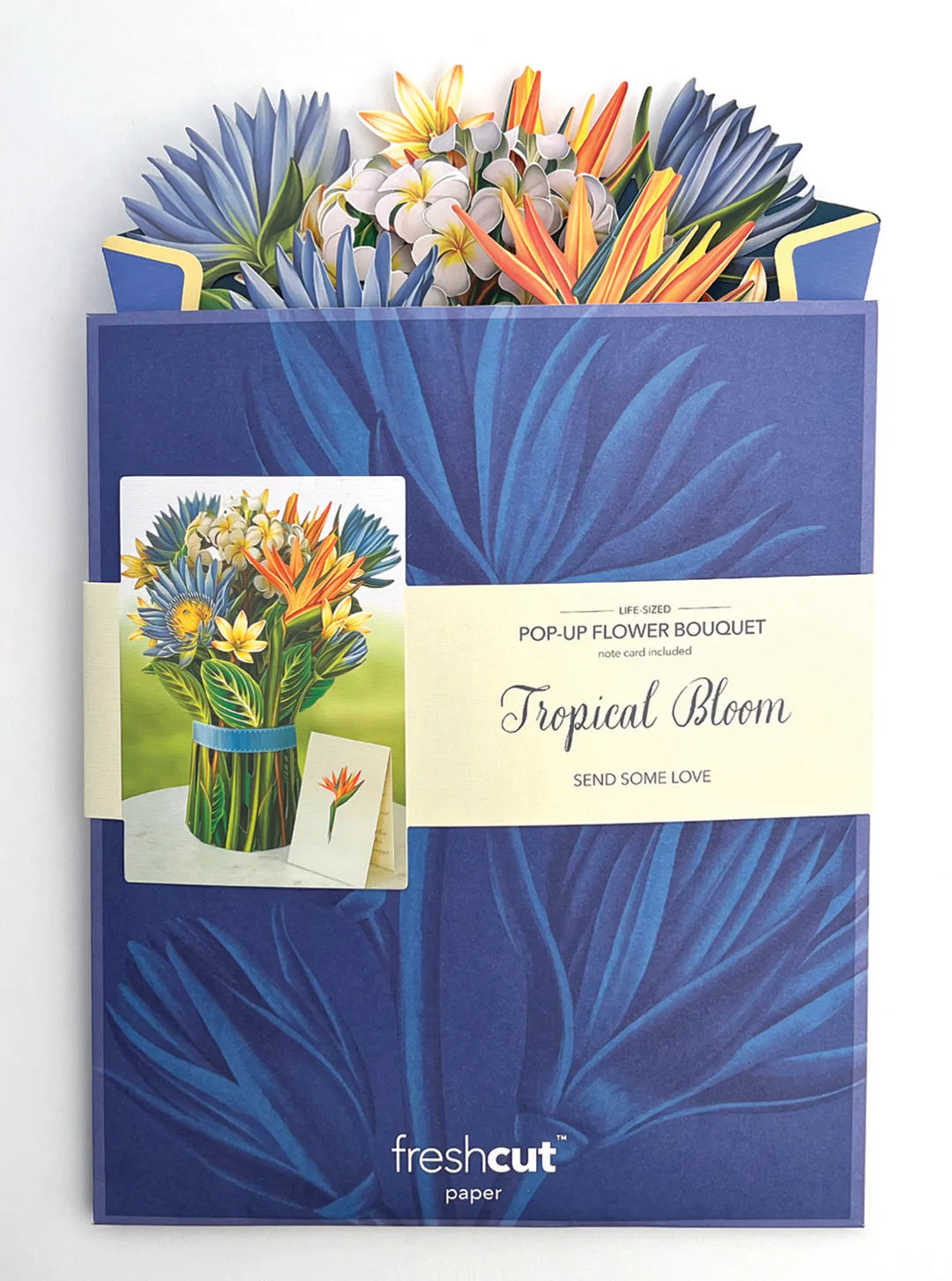 Tropical Blooms